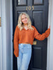 Sugar & Spice Collared Sweater