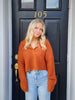 Sugar & Spice Collared Sweater